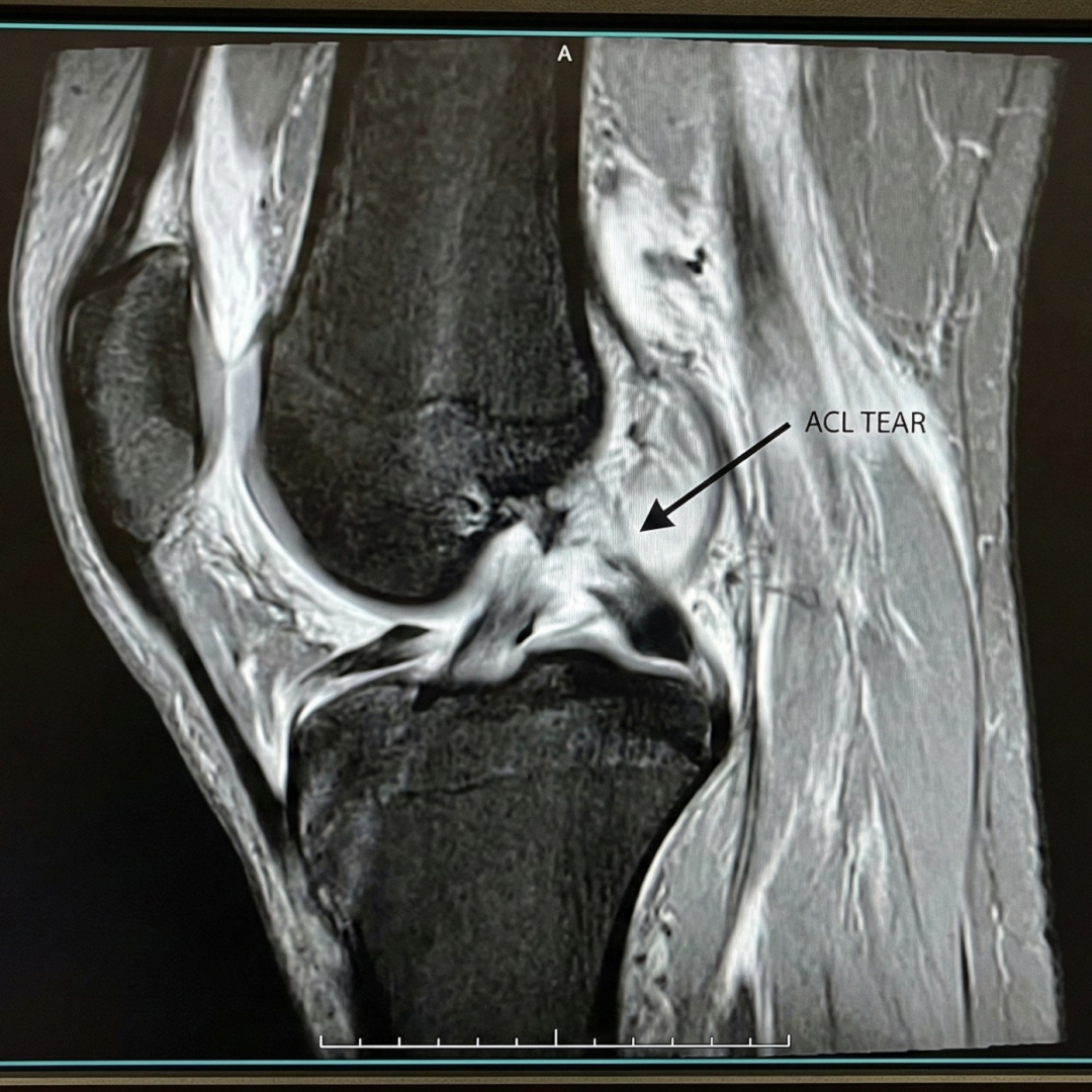 b8cc2d03 e74c 48d2 8a9c d6fd2b27969b